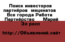 Поиск инвесторов, партнёров, меценатов - Все города Работа » Партнёрство   . Марий Эл респ.